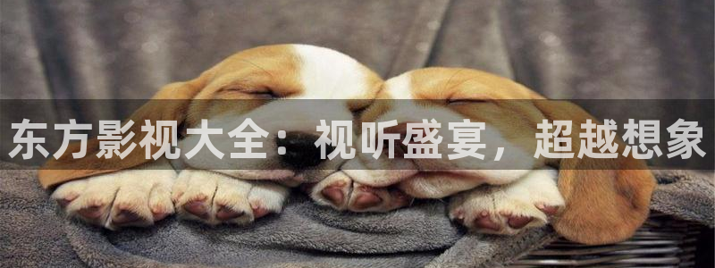 泡泡影视在线观看电影