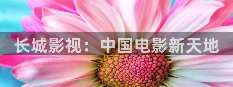 泡泡影视动漫
