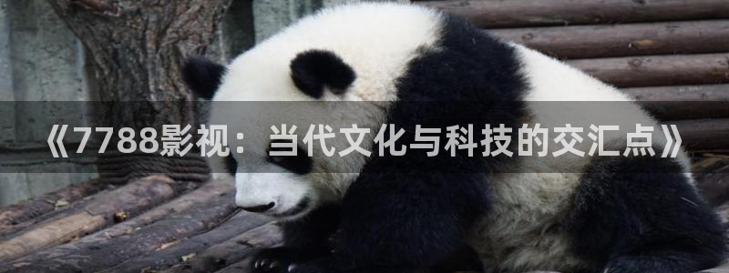 泡泡电影高清在线观看