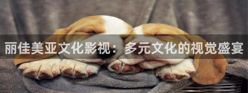 泡泡影视app下载