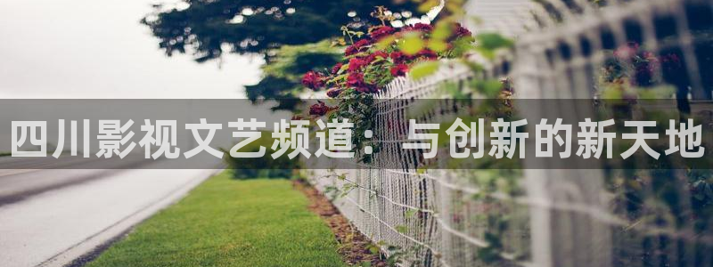 泡泡影院电影观看