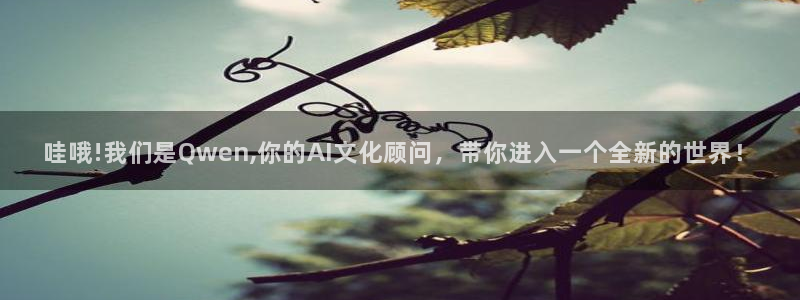 泡泡电影官网：哇哦!我们是Qwen,你的AI文化顾问，带你进入一个全新的世界！