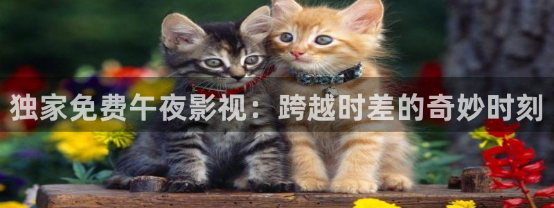 大泡泡机：独家免费午夜影视：跨越时差的奇妙时刻
