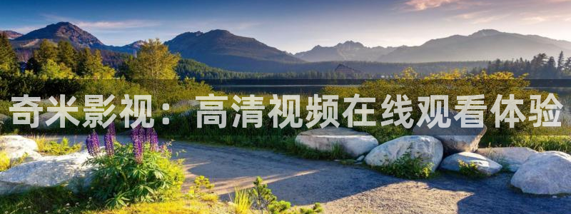 免费在线泡泡电影网