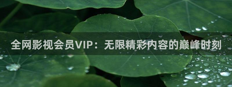 泡泡影视影院：全网影视会员VIP：无限精彩内容的巅峰时刻